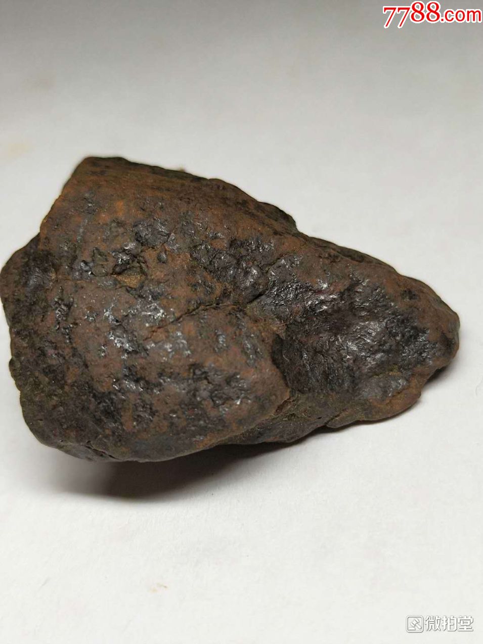 1885国际命名nwa西北非石陨石3块共99克
