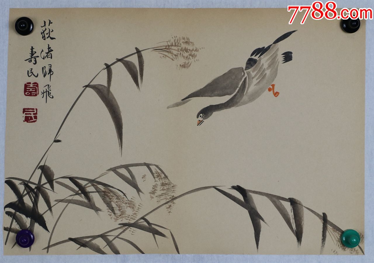 扬州八怪之一【边寿民】花鸟册页真迹
