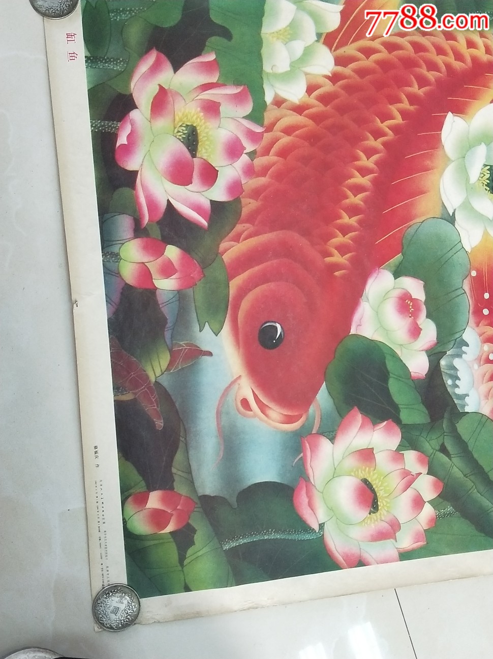 缸鱼,年画/宣传画_第12张