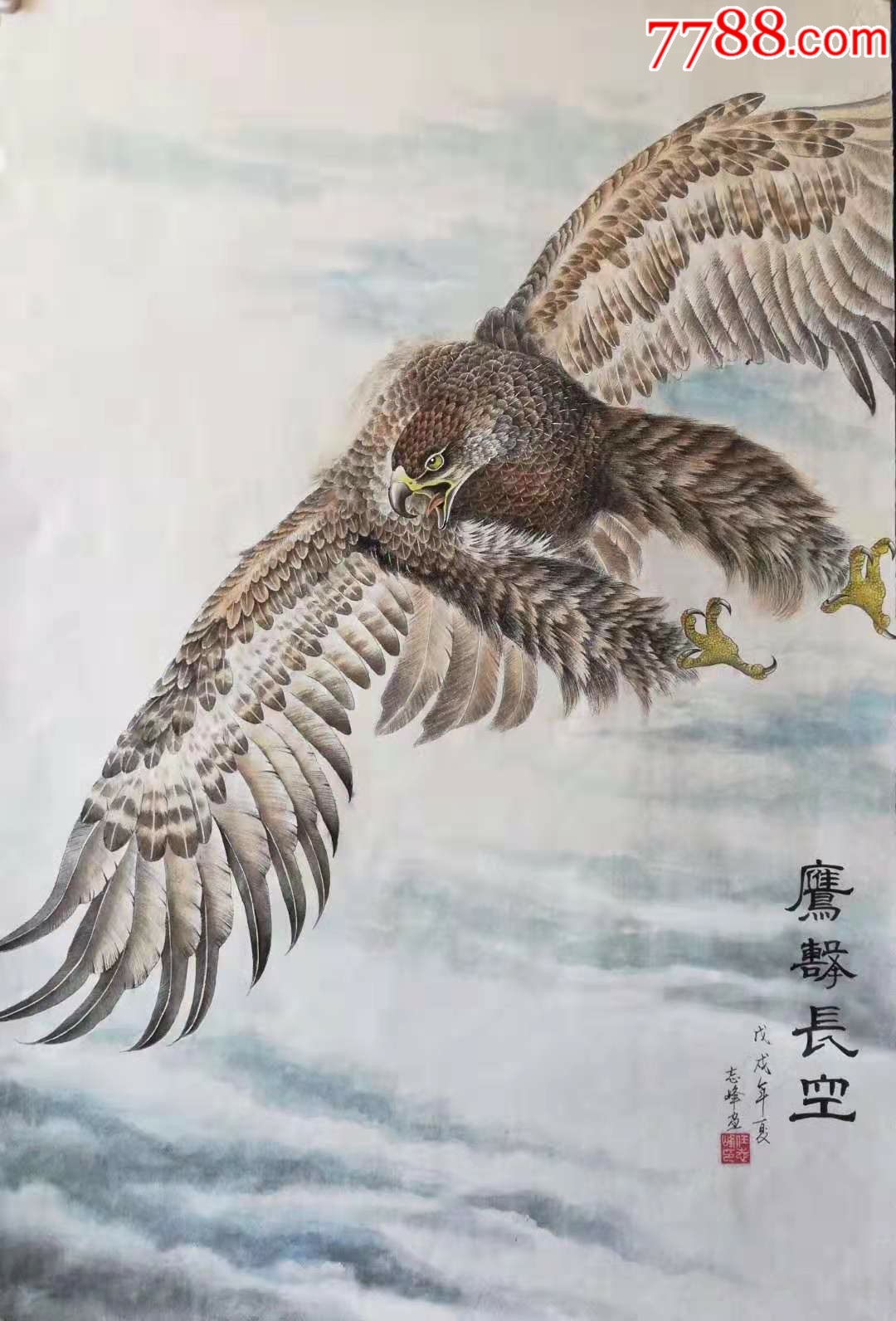 鹰击长空——雄鹰展翅鹏程万里