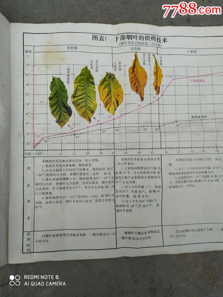 烤烟烘烤标准技术