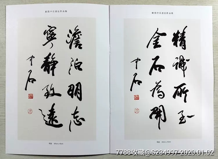 欧阳中石手绘【淡泊明志宁静致远】