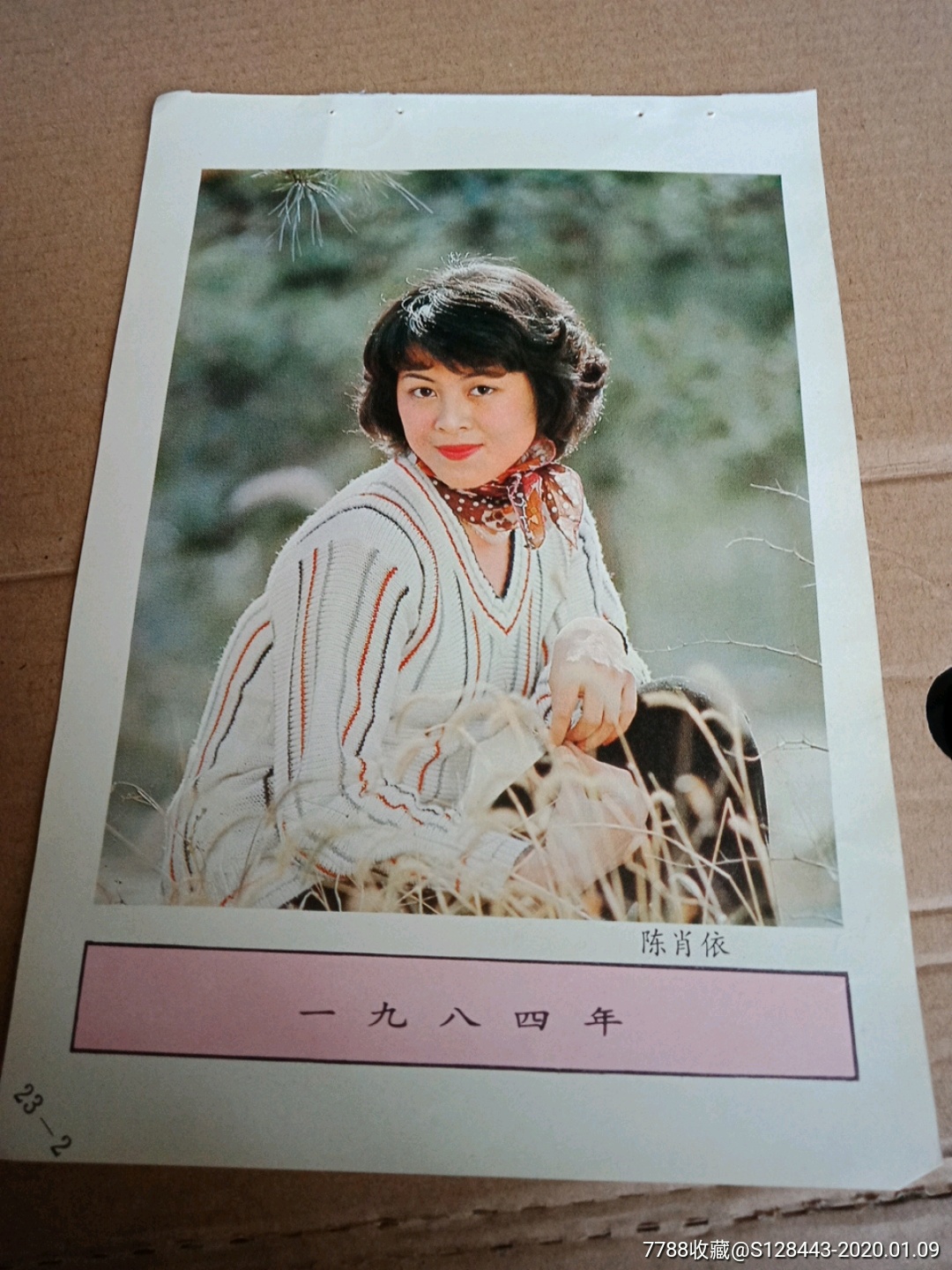 陈肖依