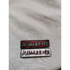 五十年代铜珐琅彩北京轴承厂技工学校老校徽一对(仔细看图定品下单)