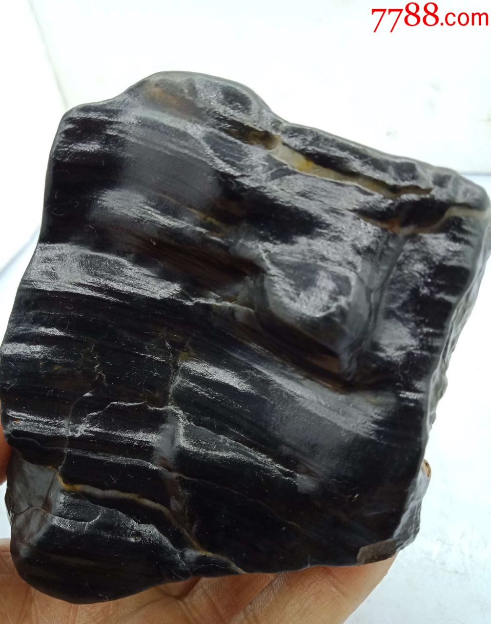 1881新疆黑色戈壁硅化木摆件815克-硅化木/木化石