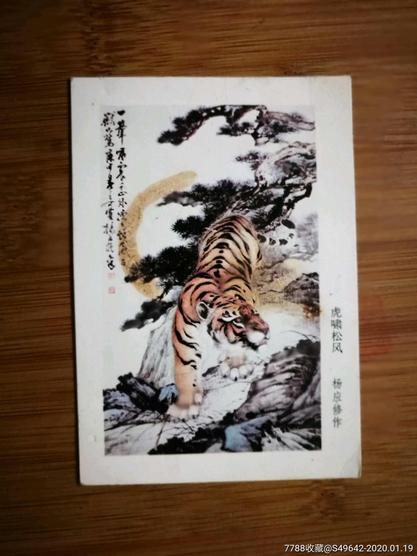 精美年历片虎啸松风杨应修作1980年人美版版10x7
