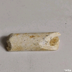 古代南宁邕江流域原著民使用器,骨器,编号c6