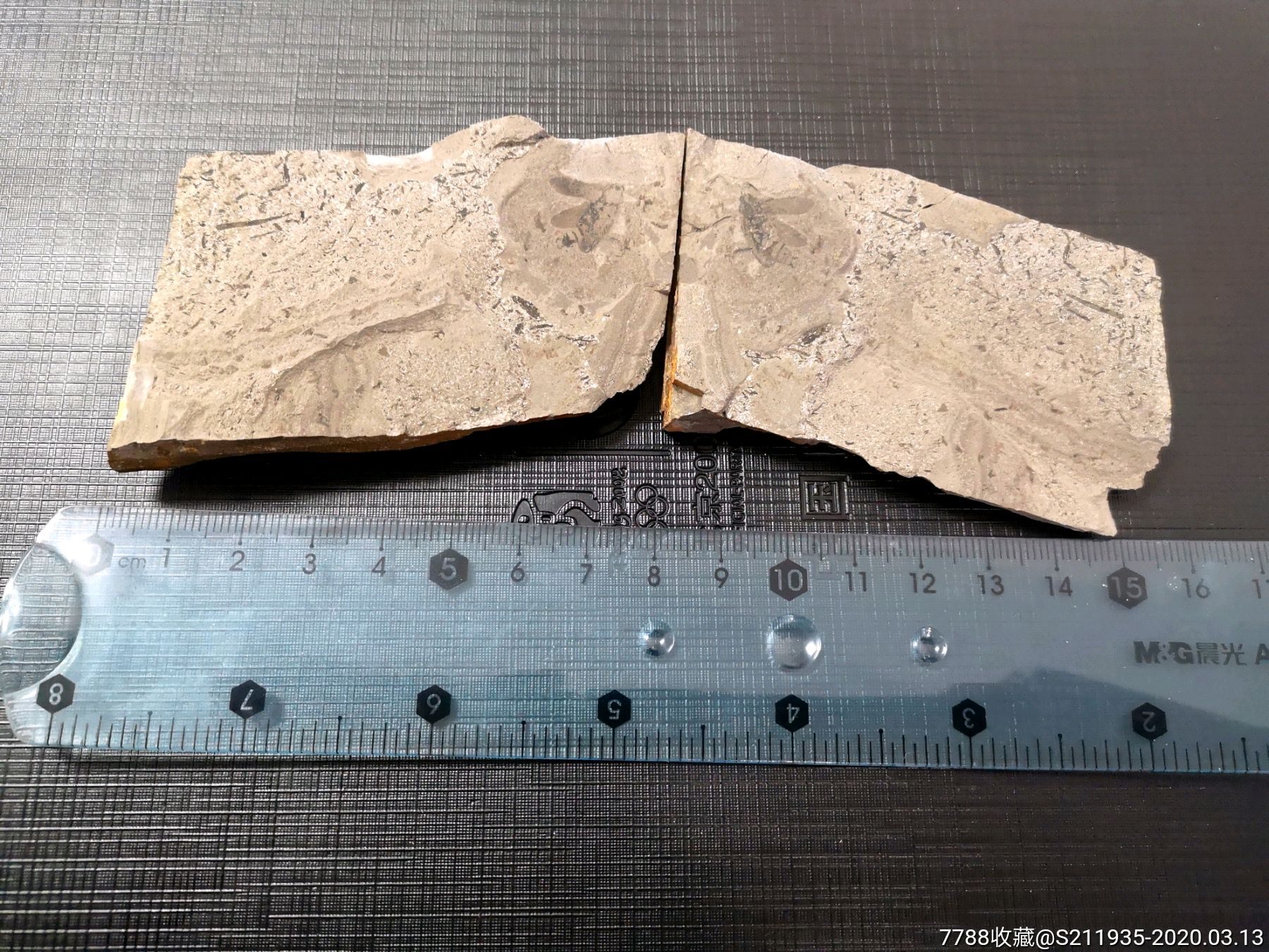 白垩纪热河古生物群时期昆虫化石,页岩材质对开双面小飞虫