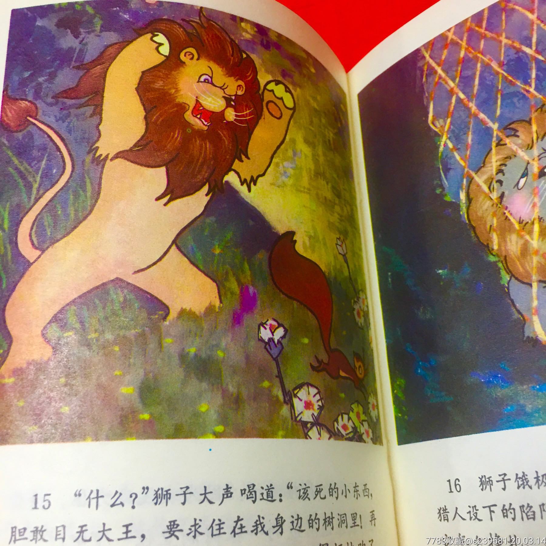 骄傲的狮子
