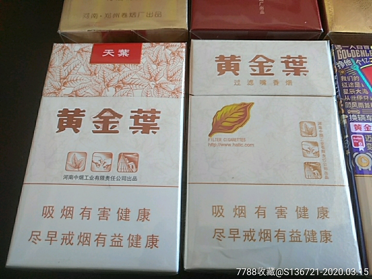 12-1黄金叶8种