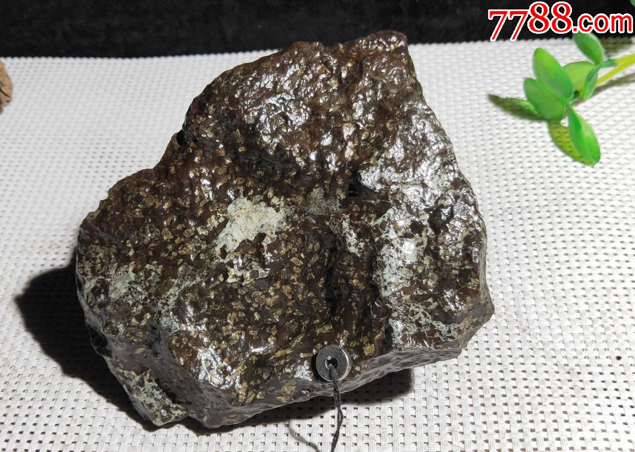 3674新疆罗布泊甘沟橄榄陨石陨铁4.56斤