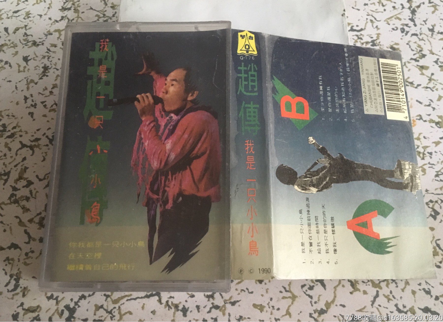 赵传我是一只小小鸟