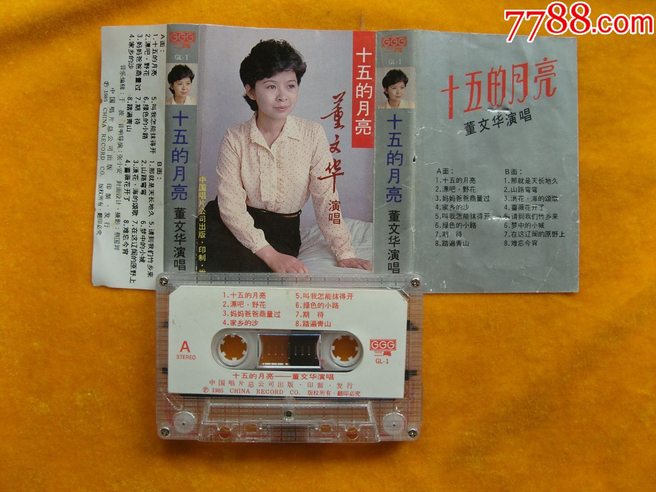 十五的月亮——董文华演唱