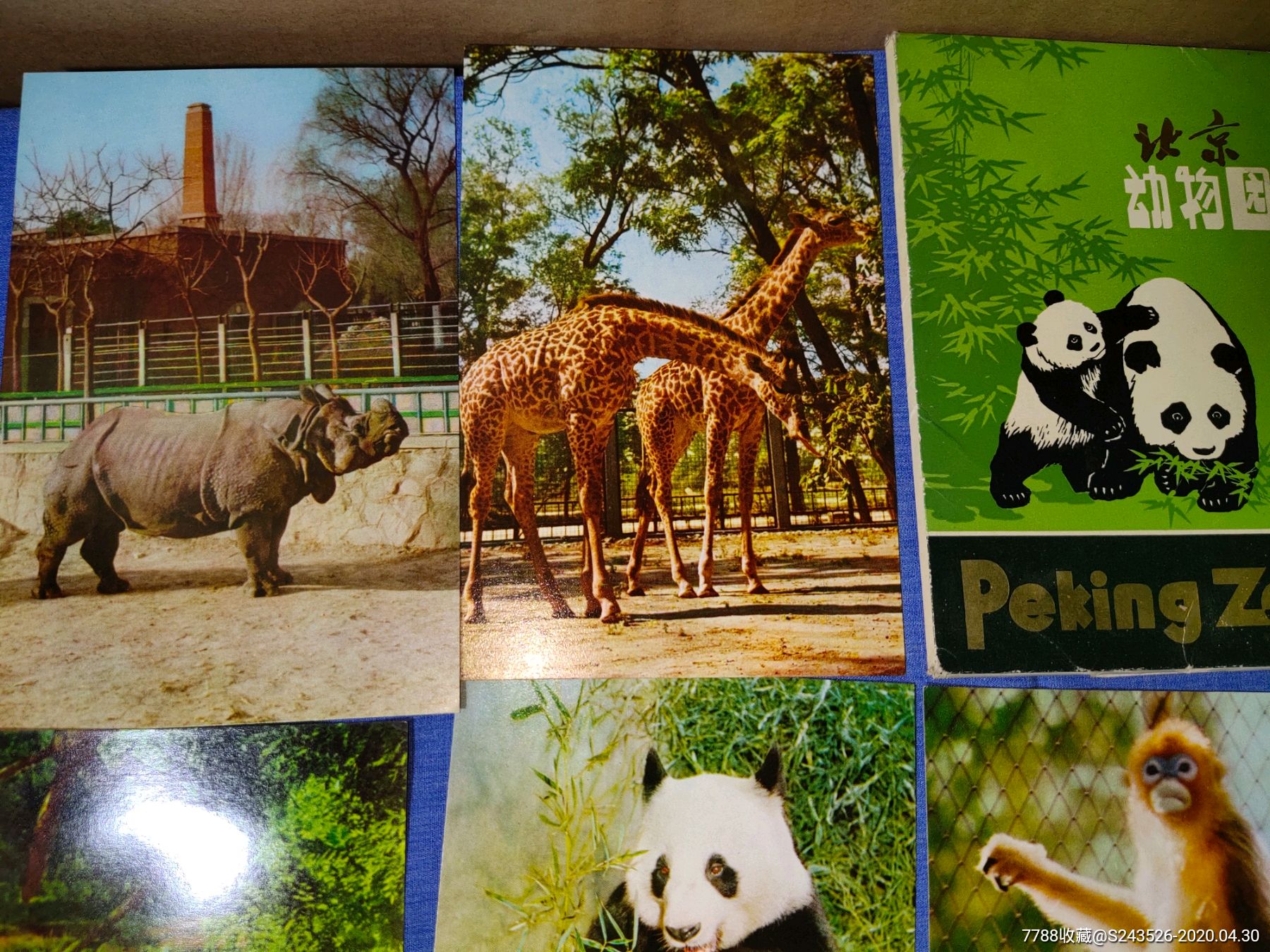 北京动物园明信片