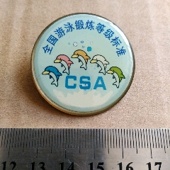 全国游泳锻炼等级标准csa