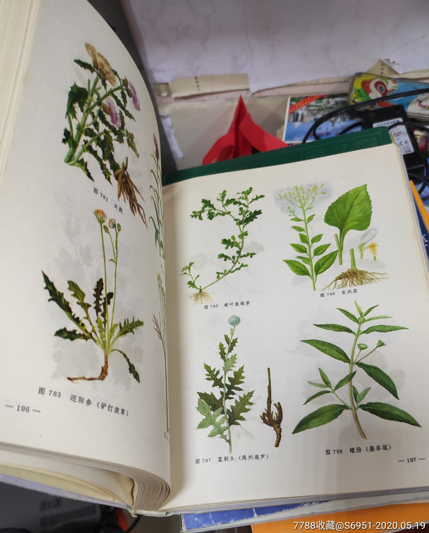 全国中草药汇编(彩色图谱)