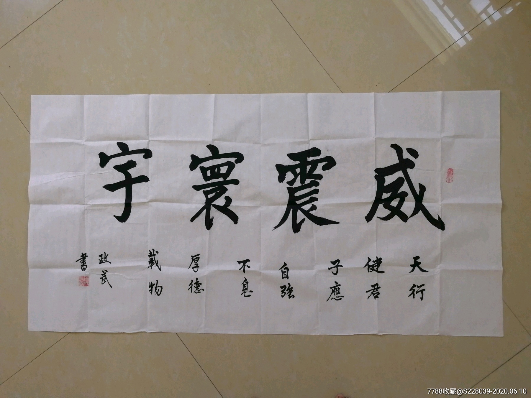 杨政武书法作品《威震寰宇》