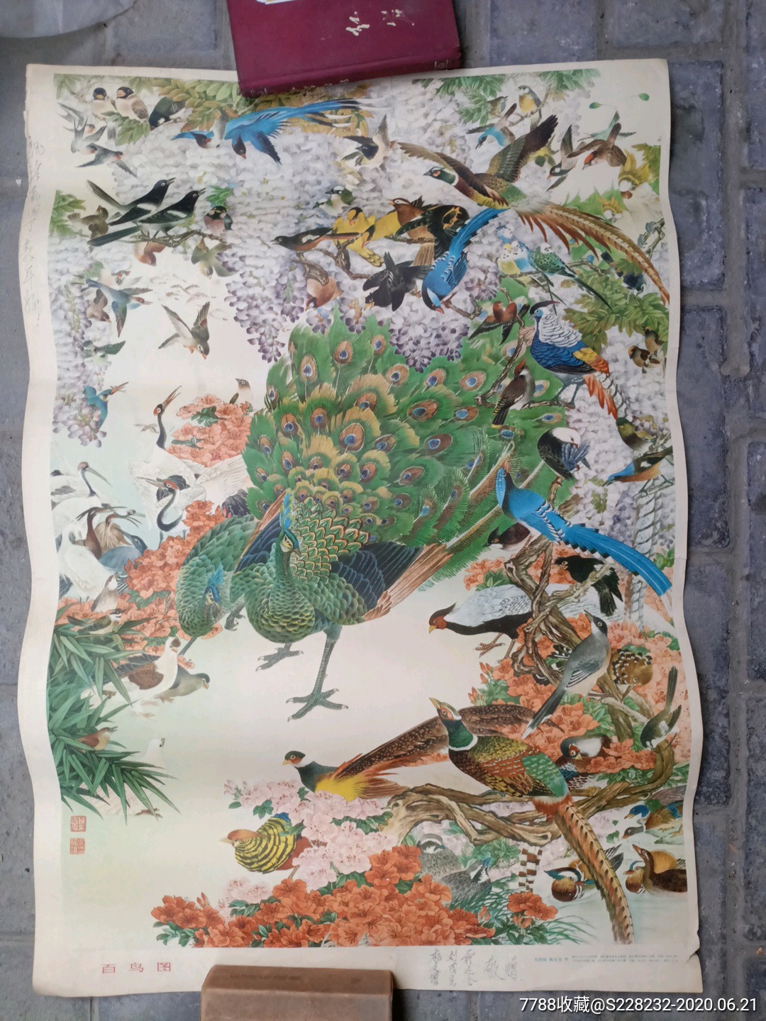 百鸟图吴绶镐,陈正冶作厚纸