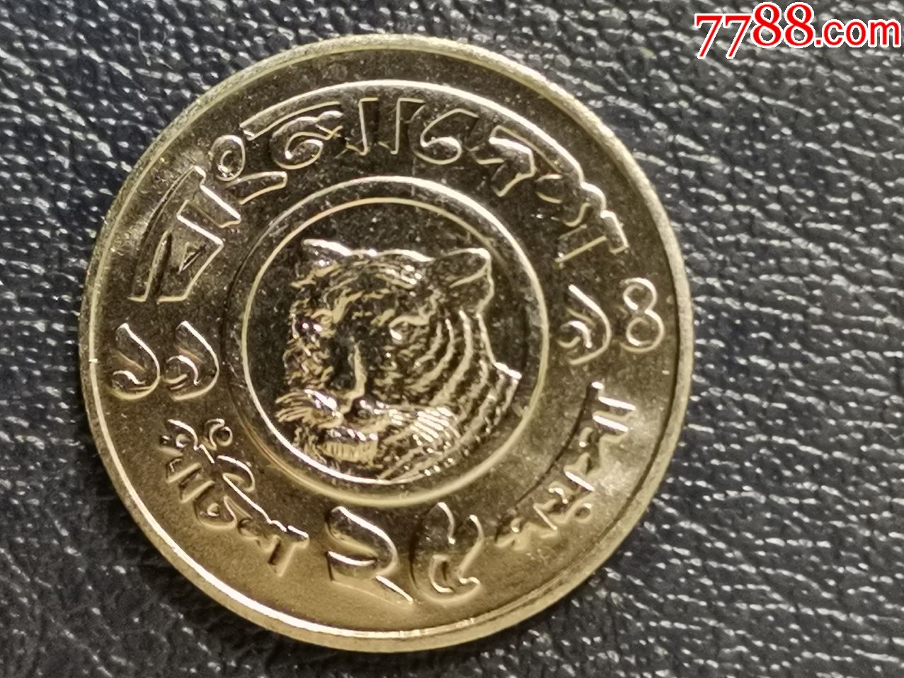 孟加拉孟加拉虎图案硬币