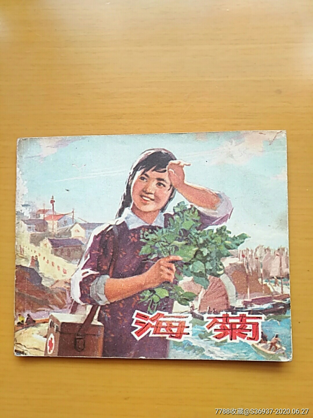 海菊