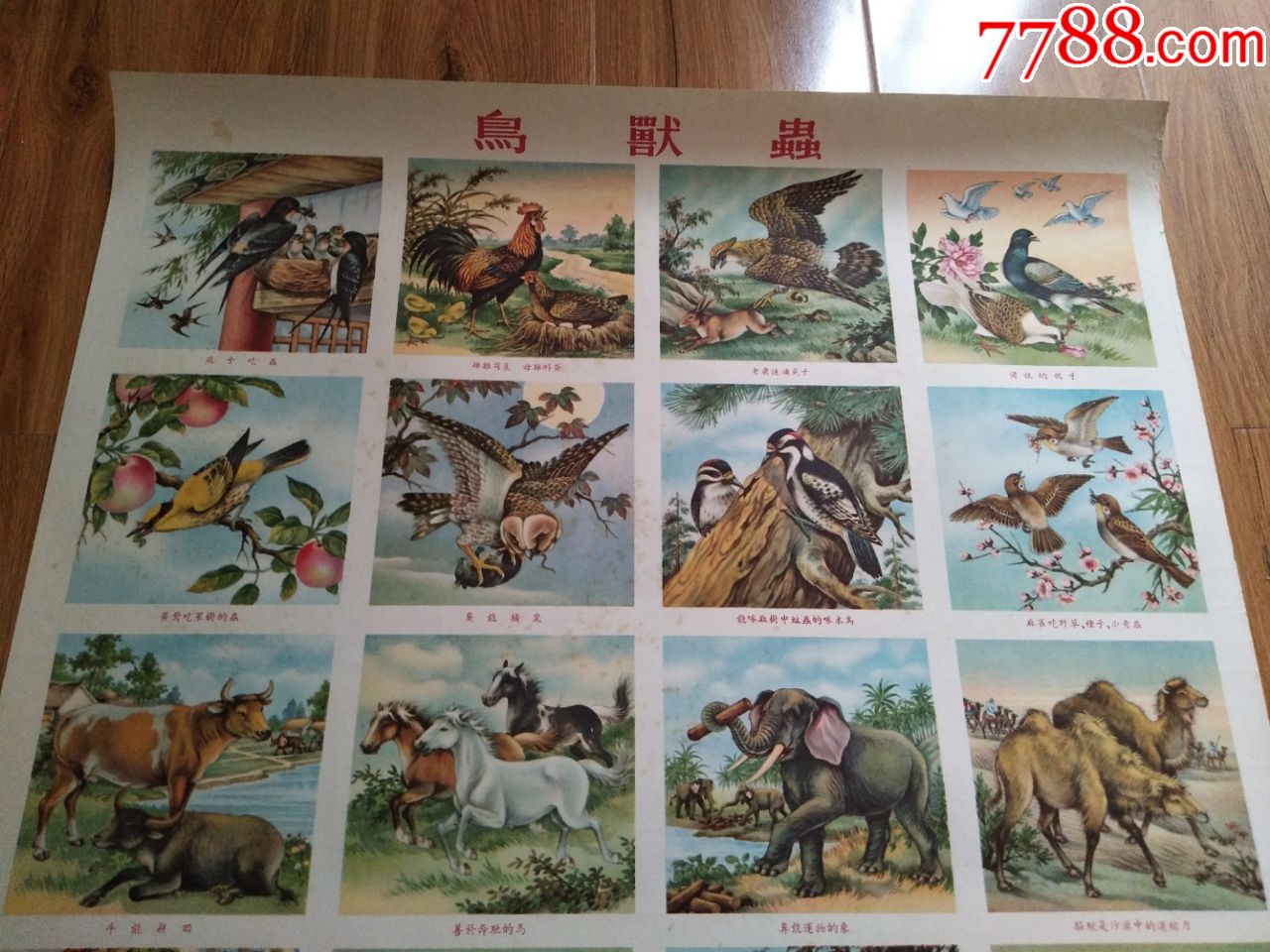 鸟虫兽(50年代老年画),年画/宣传画,绘画稿印刷,年画,五十年代(20世纪
