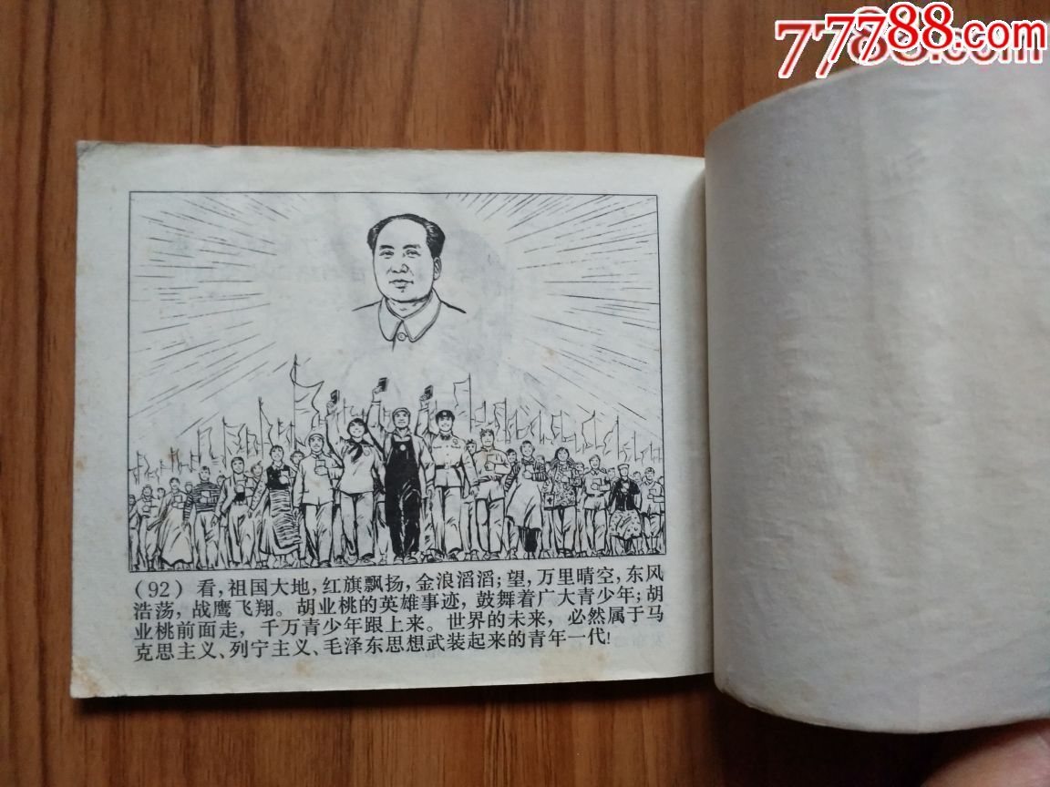 "模范共青团员"胡业桃(林提完整)