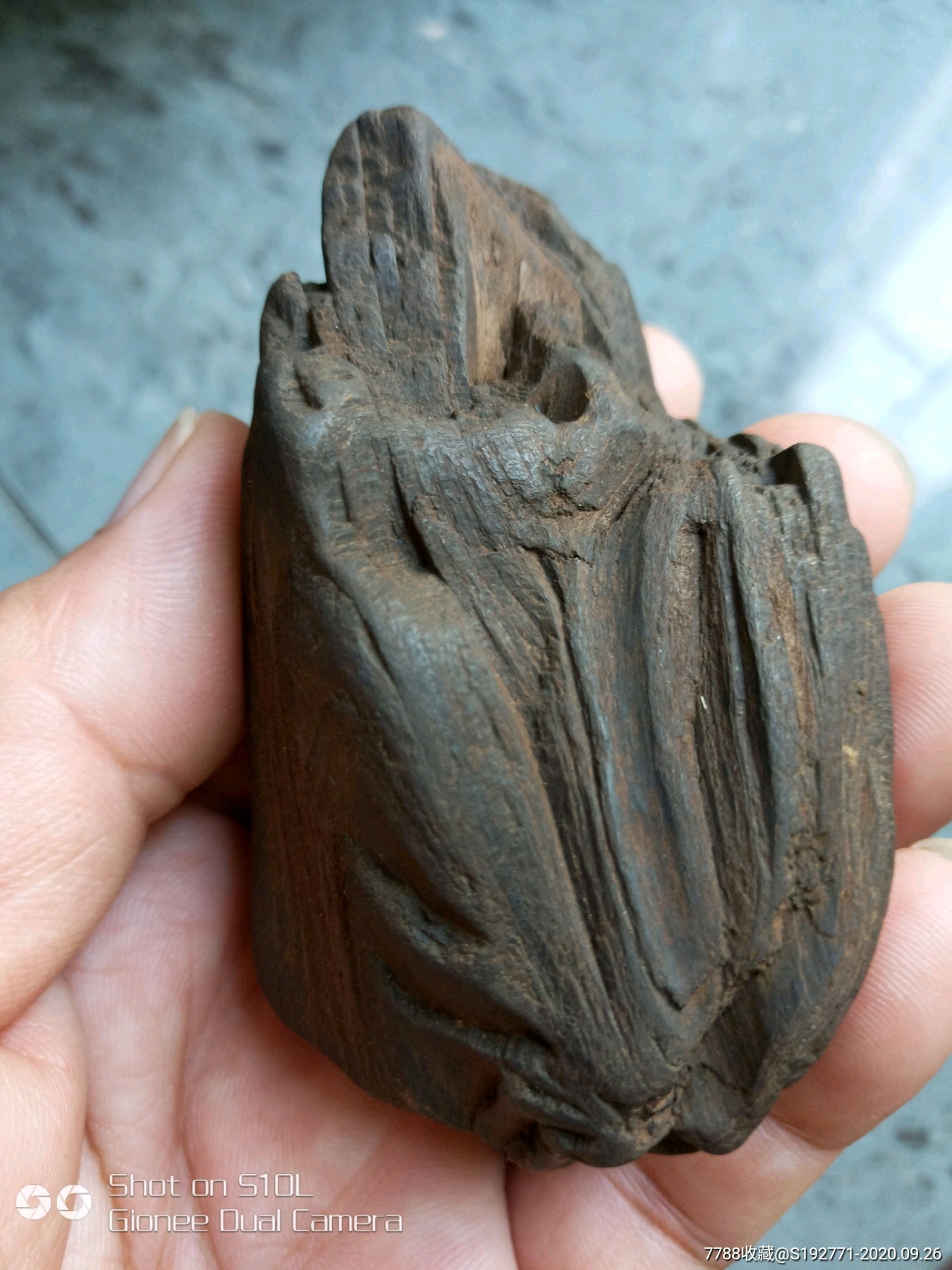 首页 拍卖 硅化木/木化石 >> 树木化石_价格138元滚动鼠标滚轴,图片