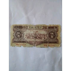 黄5元热门品种