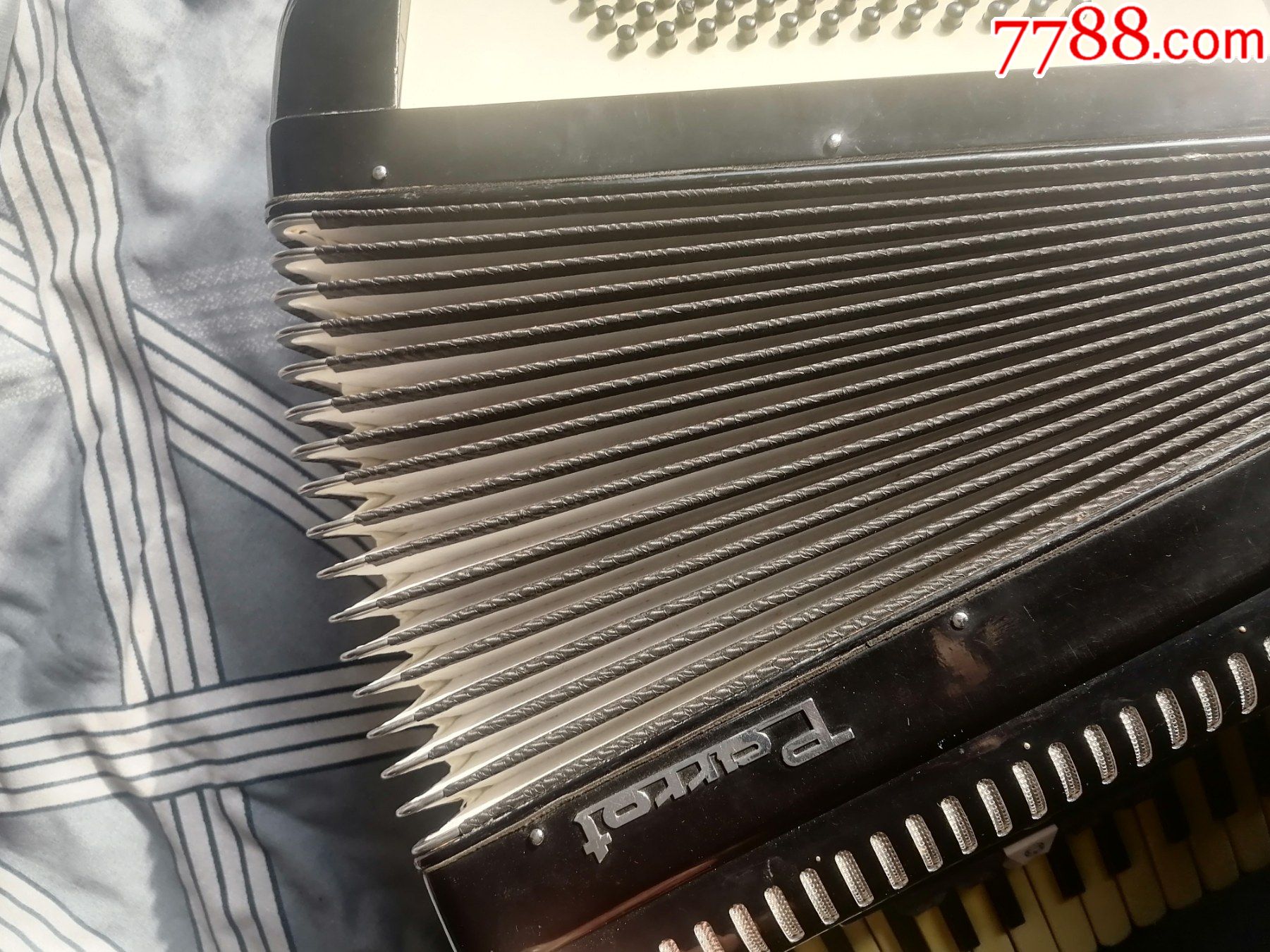 鹦鹉手风琴【60贝斯】-手风琴/风琴-7788小型张