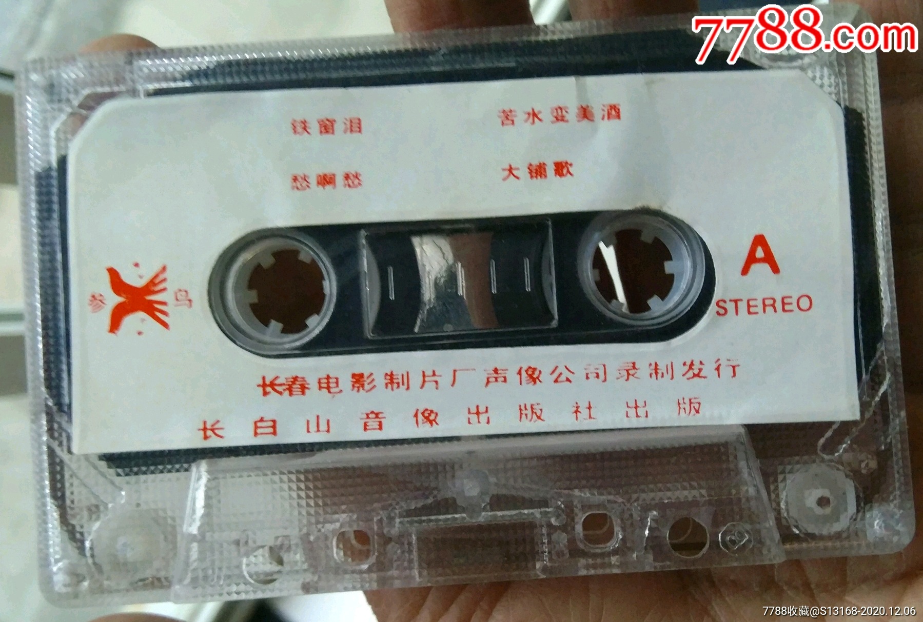 迟志强拥抱明天