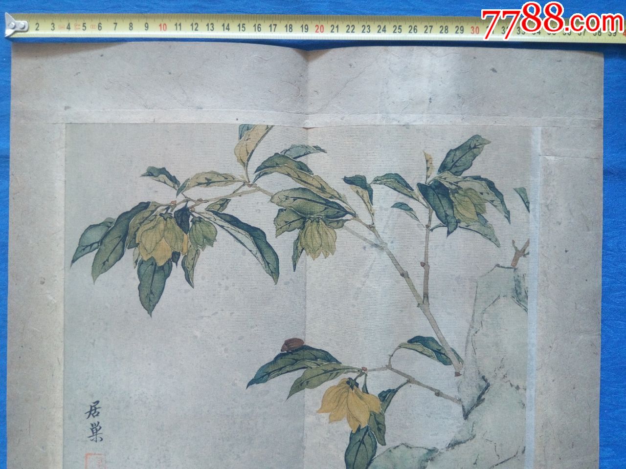 清代画家居巢国画精品印刷品绢布写意工笔花鸟画(居巢居廉兄弟,开岭南