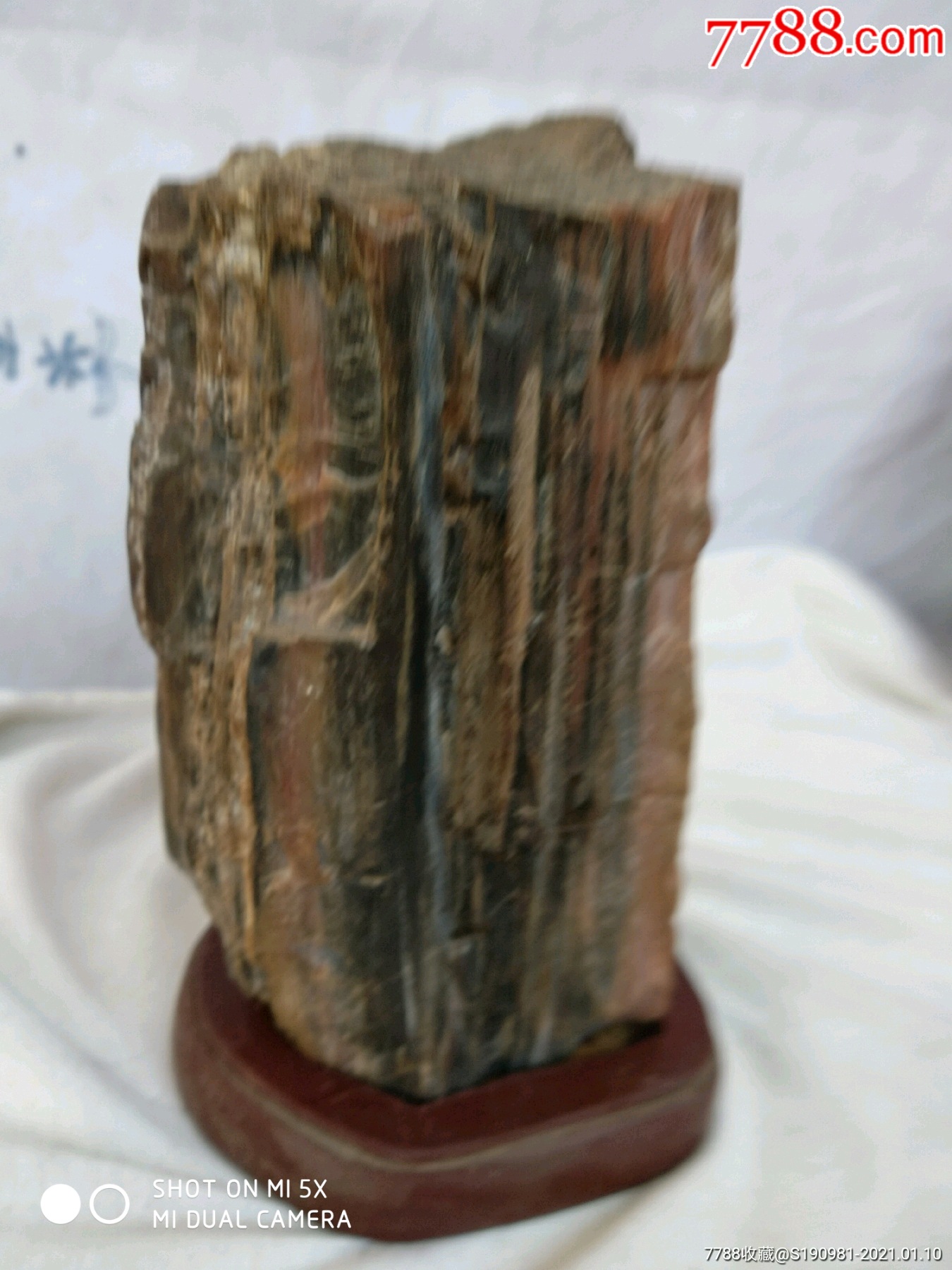 首页 拍卖 动植物化石 >> 原生木化石(观尝石).