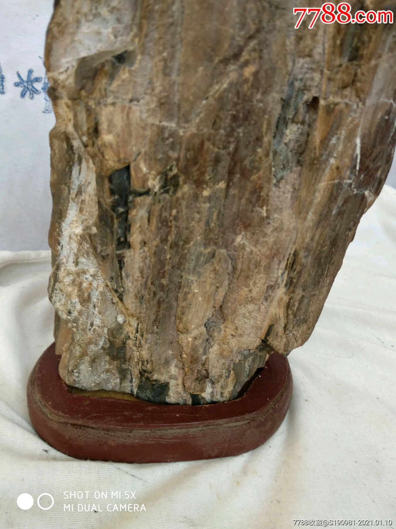 首页 拍卖 动植物化石 >> 原生木化石(观尝石).
