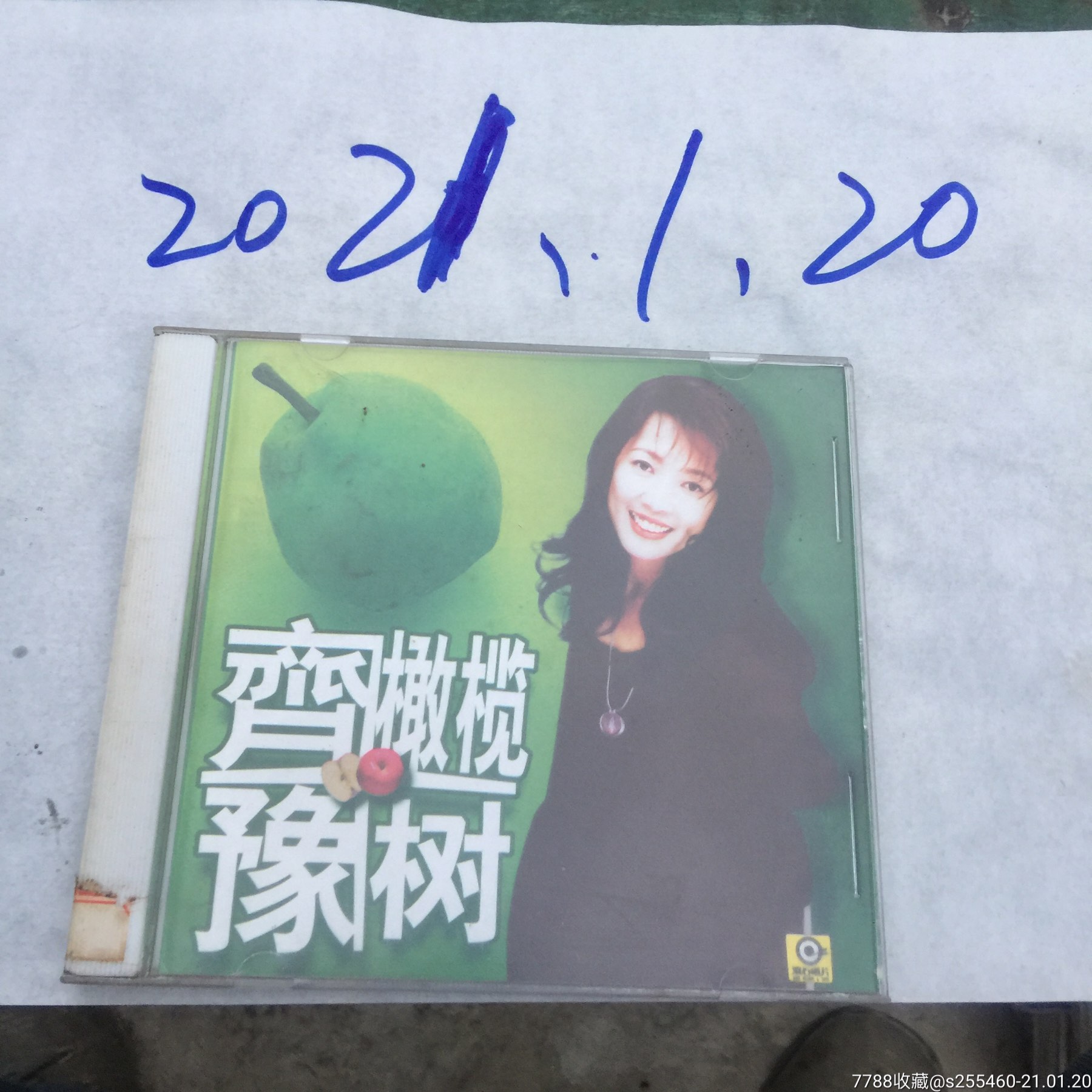 齐豫橄榄树