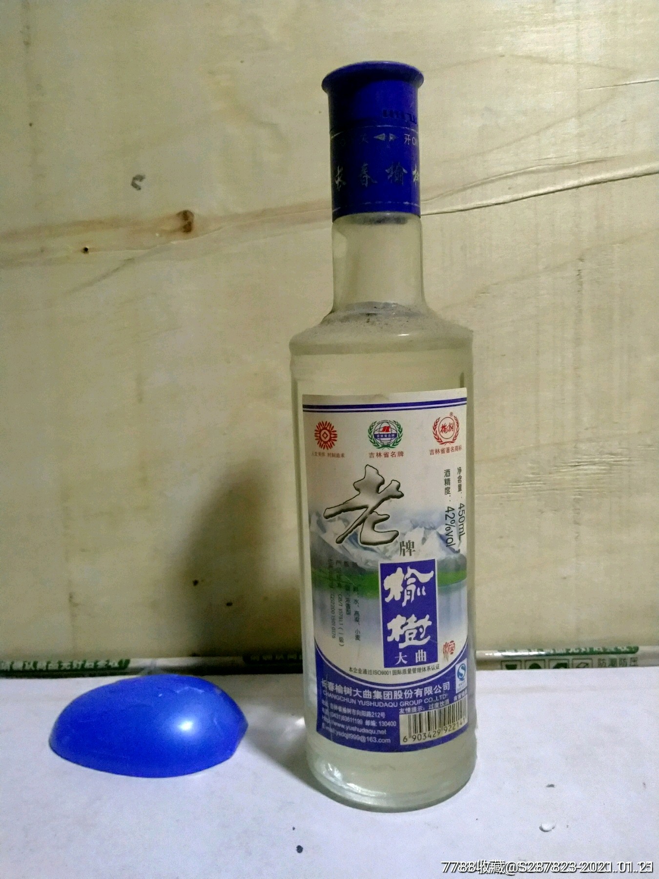 老牌榆树