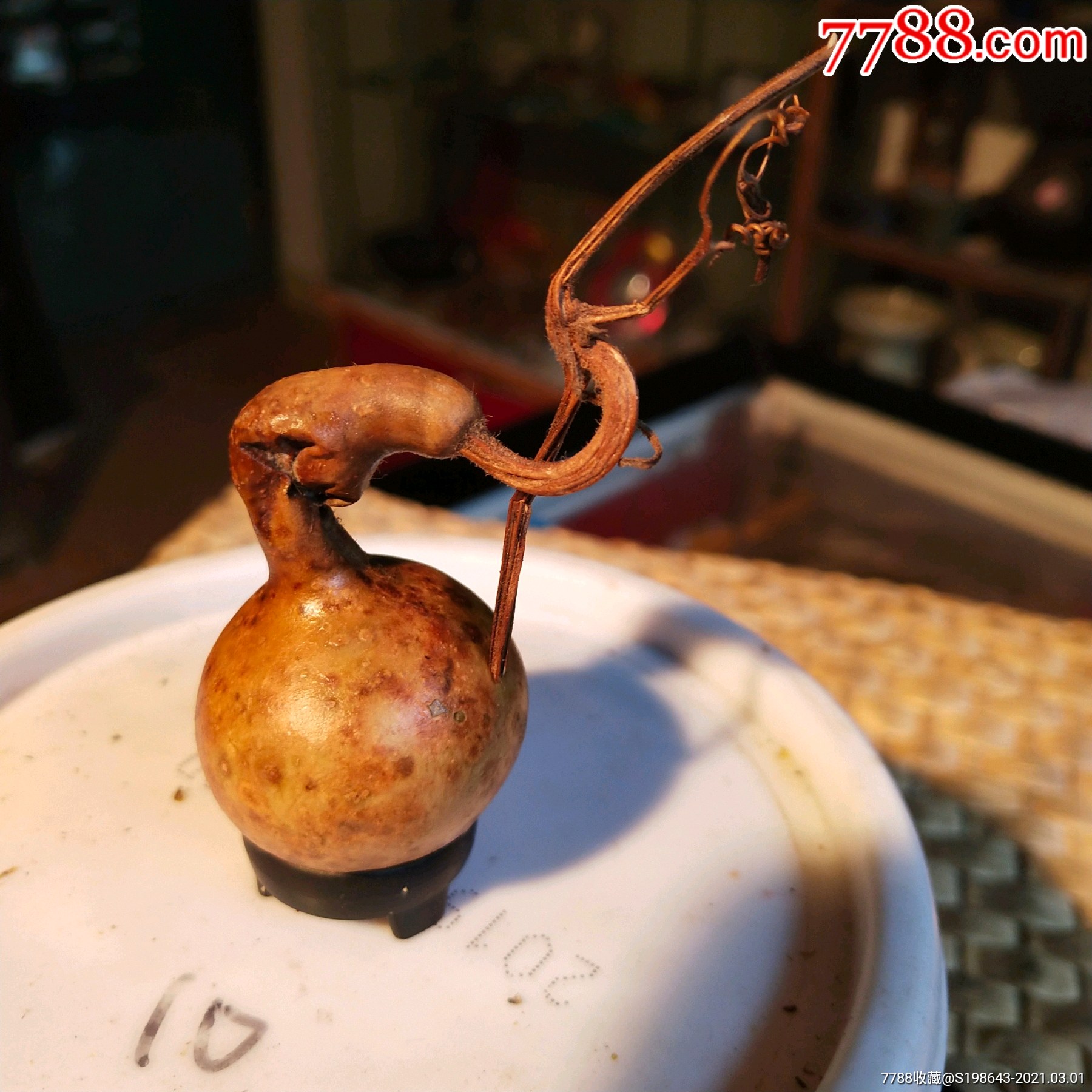 t343一个花皮葫芦