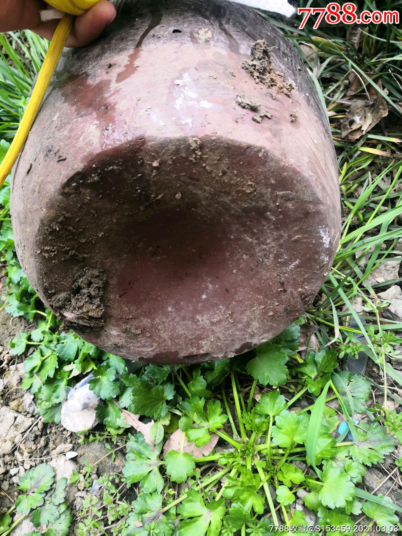 老油罐子
