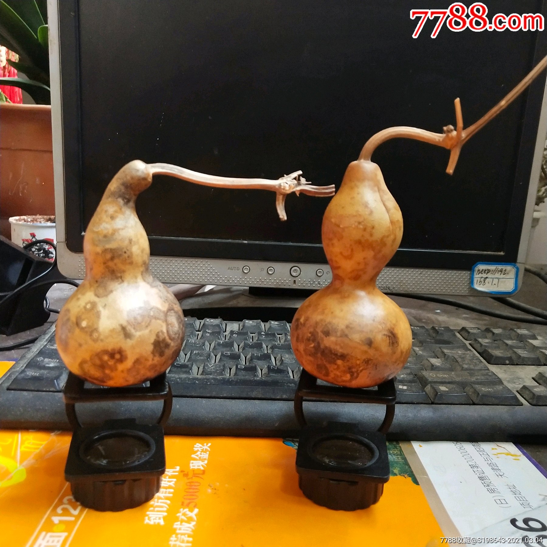 t356花皮葫芦合售