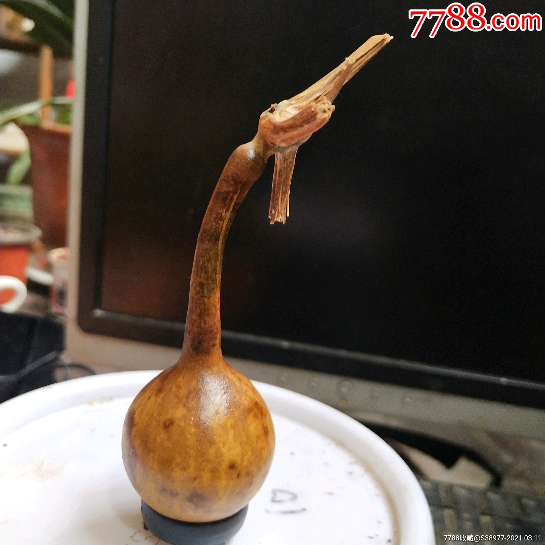 t506天然精品花皮葫芦_手捻葫芦/葫芦制品_第1张_7788钟表收藏