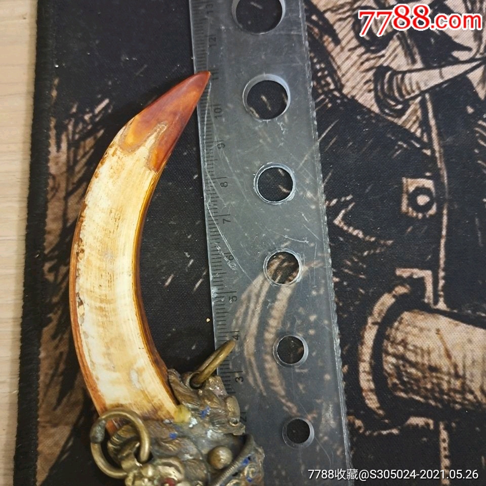 天然野猪牙吊坠野猪獠牙镶嵌动物牙齿挂件辟邪保平安