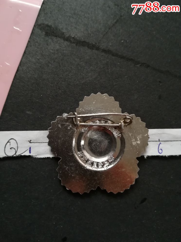 新武客,武汉客车厂,*反章-毛主席像章-7788商城