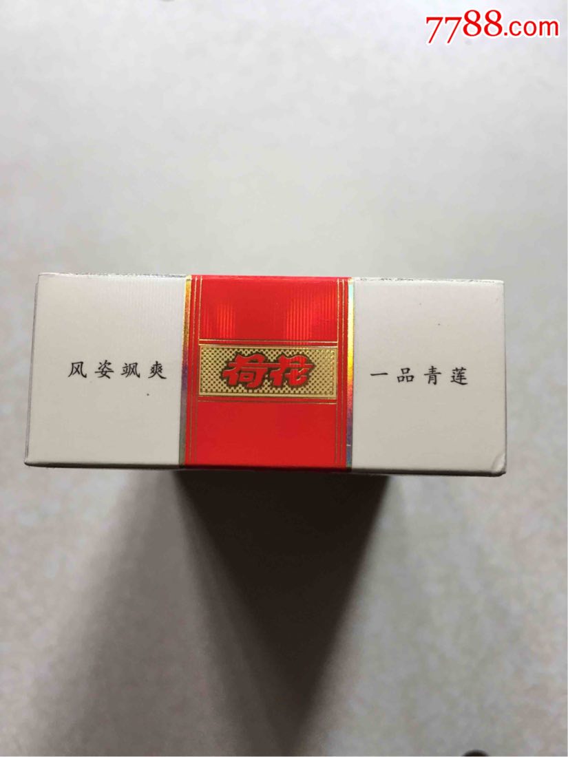 钻石荷花