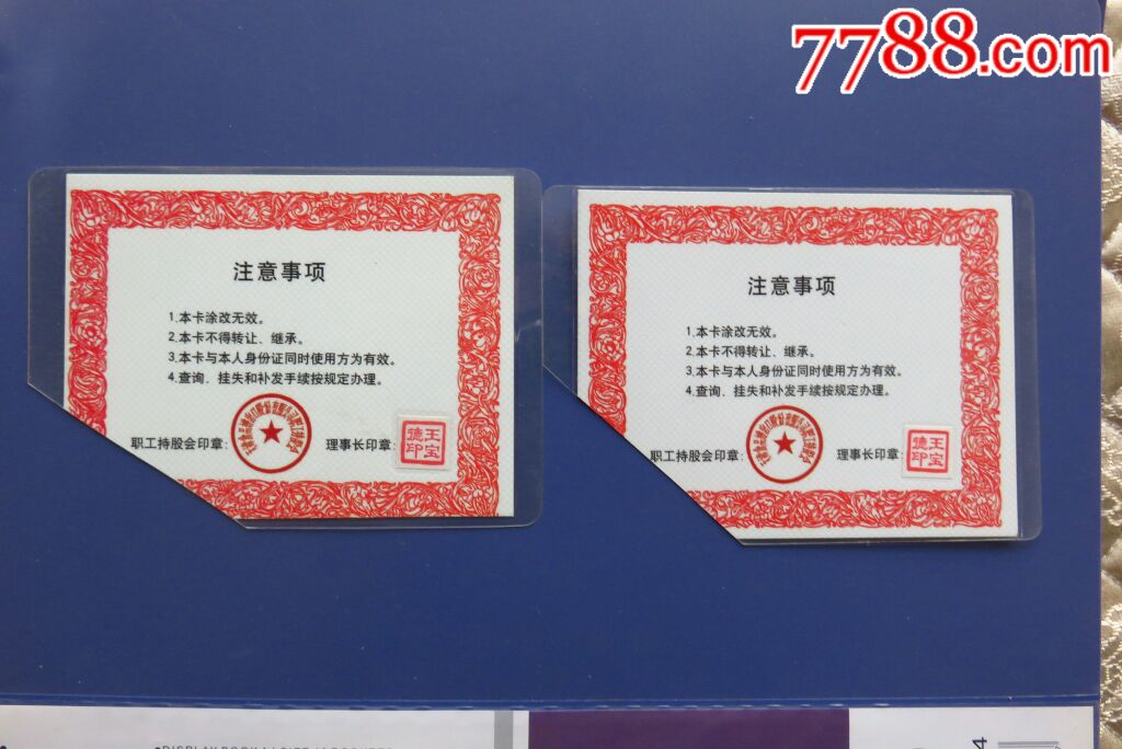 天津食品进出口公司职工持股卡2枚-股票\/集资