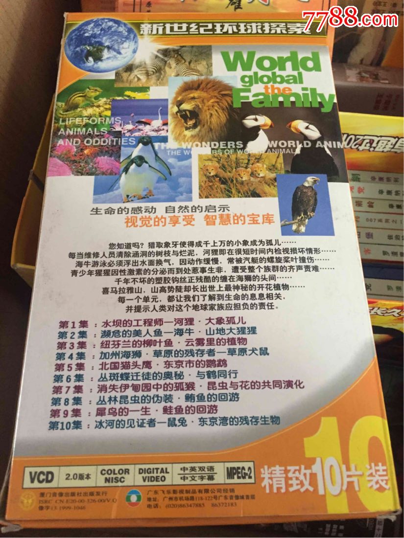 动物世界