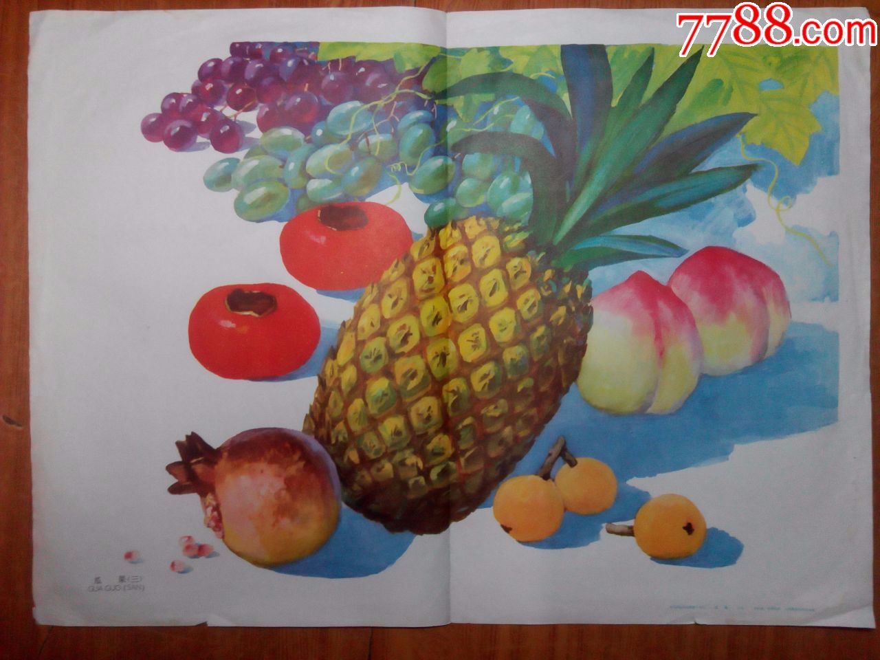 瓜果沈绍伦画