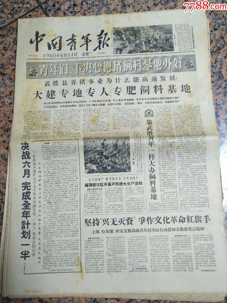 4223,中国青年报1960年6月14日,规格4开,9品._报纸_红