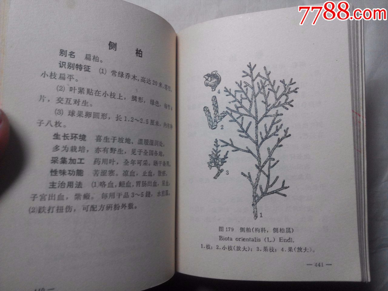 常用中草药手册