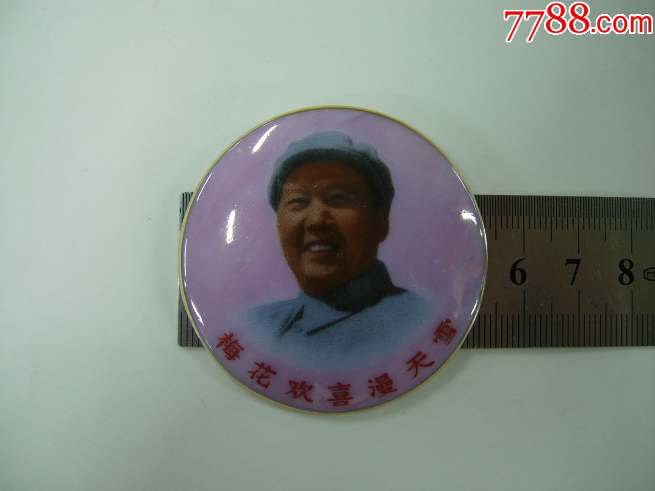 (c34)梅花欢喜漫天雪陶瓷像章