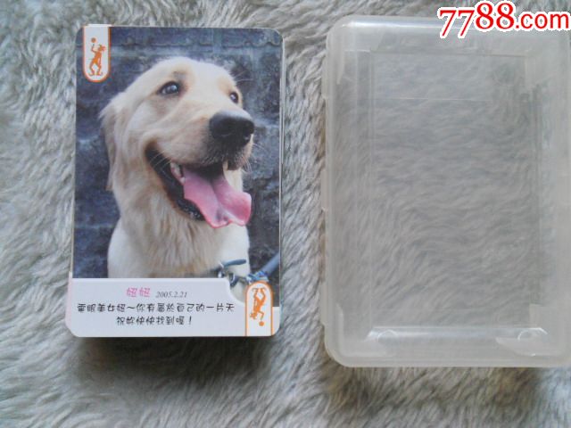台湾扑克:名犬