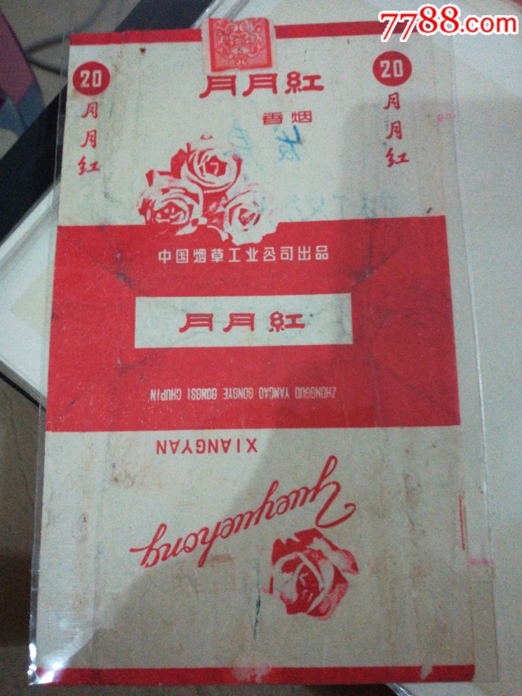 月月红